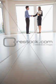 Estate agent and man shaking hands