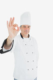 Mature male chef showing ok sign
