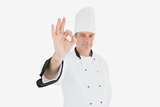 Male chef gesturing ok sign