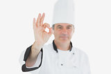 Portrait of chef showing ok sign