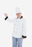Chef showing something on white