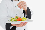 Male chef garnishing fresh prepared meal