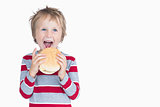 Cheerful young boy eating burger