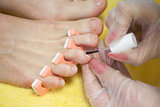 Closeup of woman applying nail varnish to toe nails