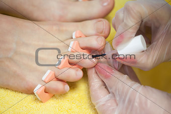 Closeup of woman applying nail varnish to toe nails