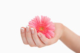 French manicured hand holding flower