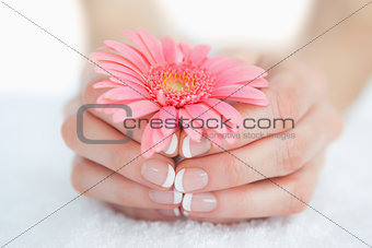 French manicured hands holding flower