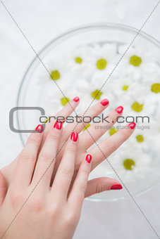 Ted painted finger nails and bowl of flowers