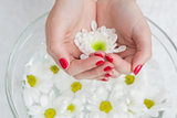 Close up of hands in bowl with flowers