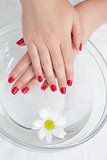 Red painted finger nails with flower in bowl