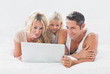 Calm family using together a laptop