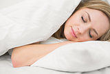 Beautiful woman sleeping with eyes closed in bed