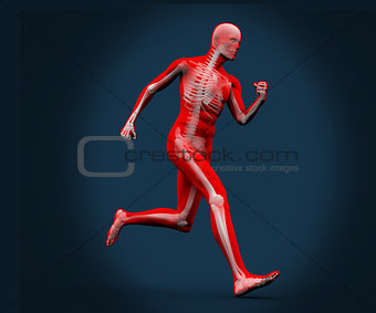Digital body running on a blue background