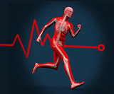 Digital body running against a heart rate line