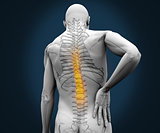 Digital skeleton having pain on his back