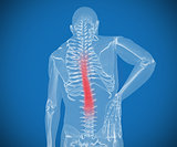Transparent digital skeleton having pain on his back