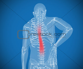 Transparent digital skeleton having pain on his back