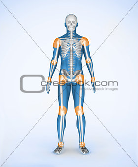 Joints of a blue digital skeleton