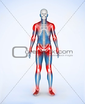 Red joints of a blue digital skeleton