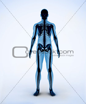 Black and blue digital skeleton