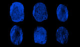 Blue fingerprints in line