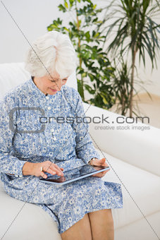 Elderly cheerful woman using a digital tablet