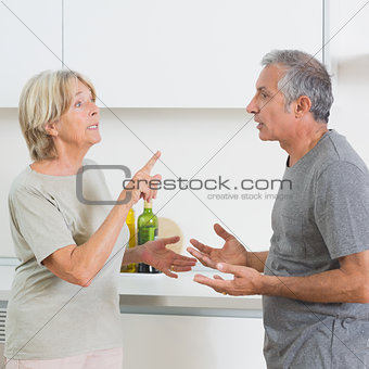 Wife arguing with her husband