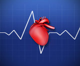 Diagram of a heart with ECG line