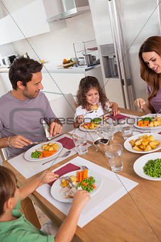 Family eating healthy dinner