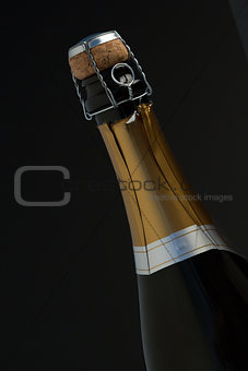 Closeup of top of champagne bottle