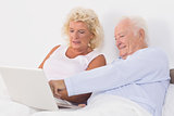 Aged couple using a laptop