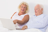 Old couple using a laptop