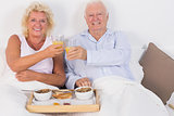 Smiling aged couple toasting