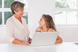 Smiling child and granny gazing with laptop