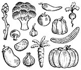 Vegetable theme collection 2