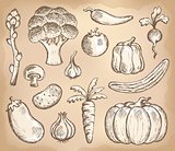 Vegetable theme collection 3