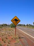 Kangaroos Ahead
