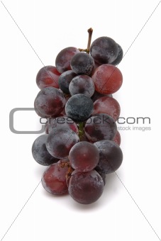 Kyohou grapes