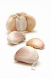 Garlic close up