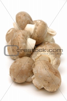 Close up of brown mushrooms