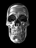 chrome metallic skull