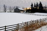 Rural winter landscape