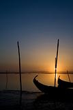 Moliceiro boat on sunset