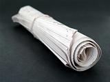 rolled up newspaper