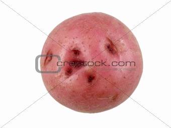 Red potato
