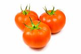 Three full tomatoes isolated 