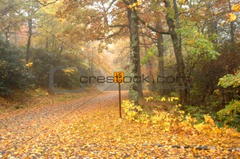 Deserted Pathway through Fall foliage