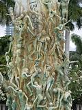 Holocaust Memorial in Miami