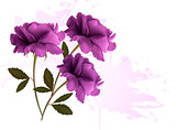 Holiday background with three beautiful flowers. Vector