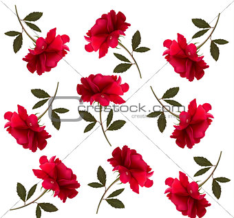 Holiday pattern with red beautiful roses. Vector